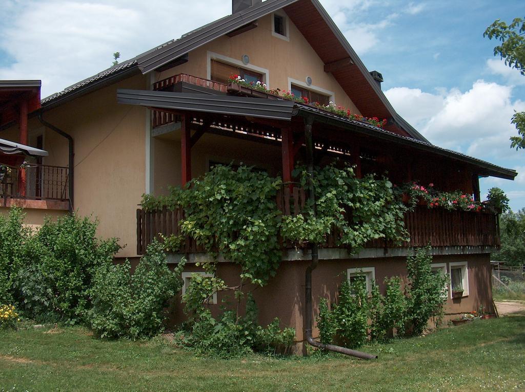 Apartment Ana