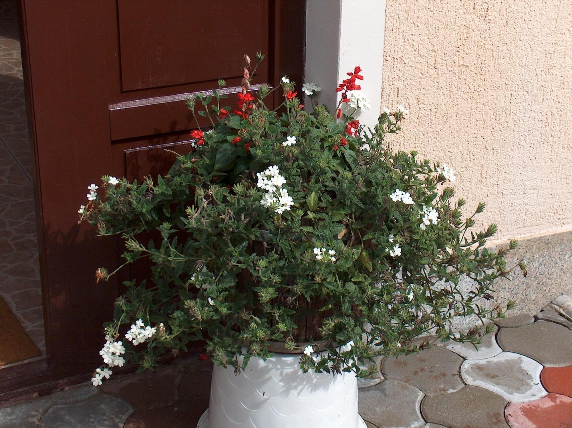Ana Apartment Smoljanac