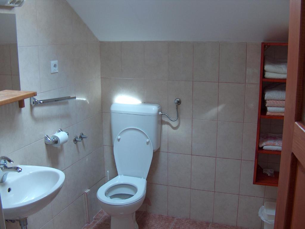 Ana Apartment Smoljanac