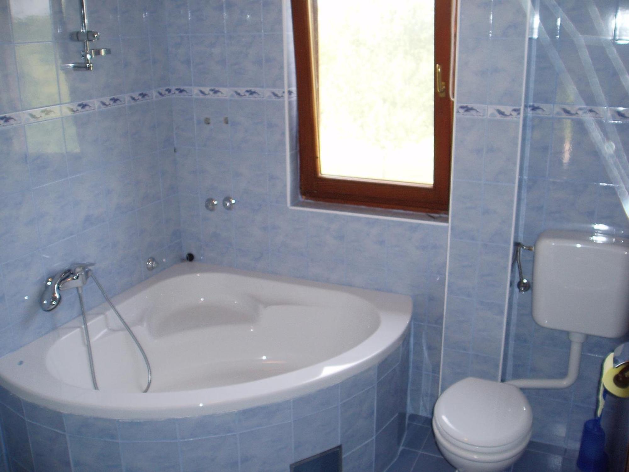 Ana Apartment Smoljanac